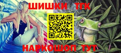 индика Мариинск