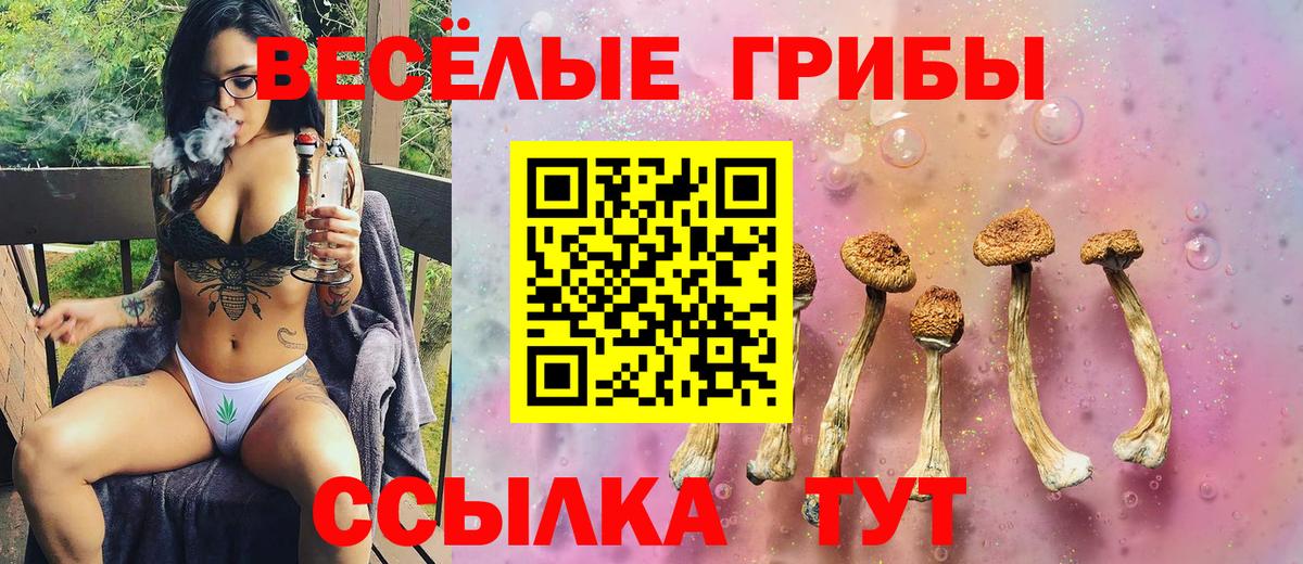 Городец  Псилоцибиновые грибы Psilocybe  Вход с VPN  Псилоцибиновые грибы Cubensis 