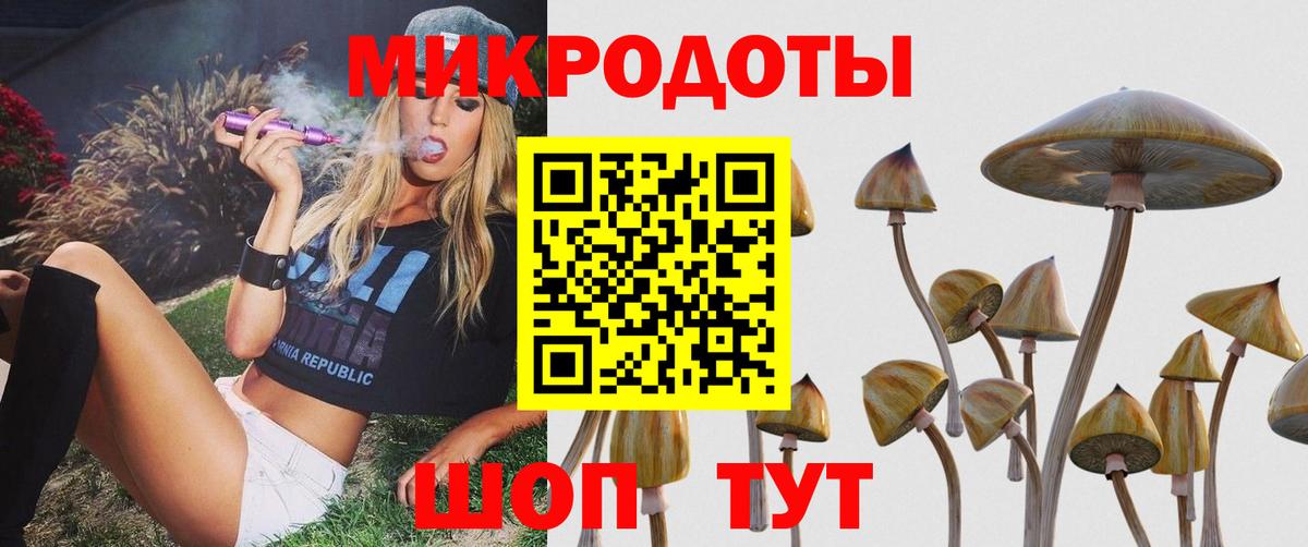 Галлюциногенные грибы MAGIC MUSHROOMS Городец